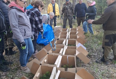 Tęsiame miškasodžio tradiciją